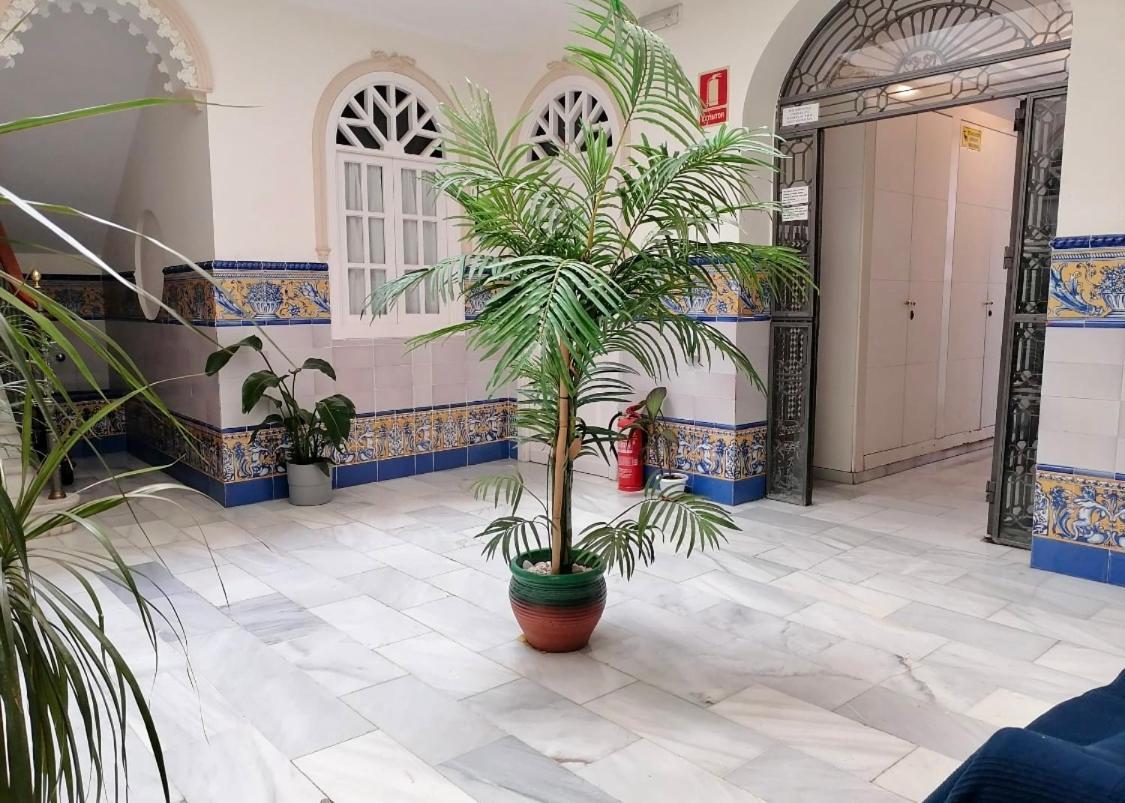 Liam Studio In Sevilla Centric — Photos 2